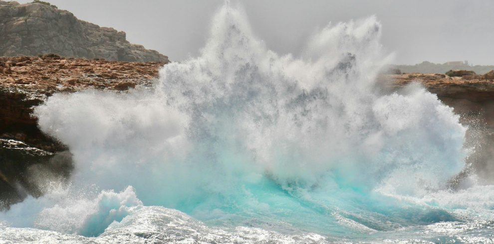 pexels dirk pothen 2149332904 30974951 990x490