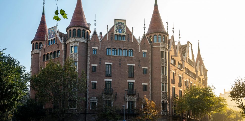 pexels gryziu 30933369 990x490