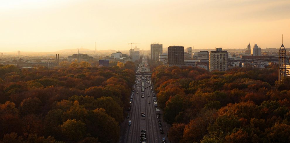 pexels mike norris 2149008874 30941717 990x490