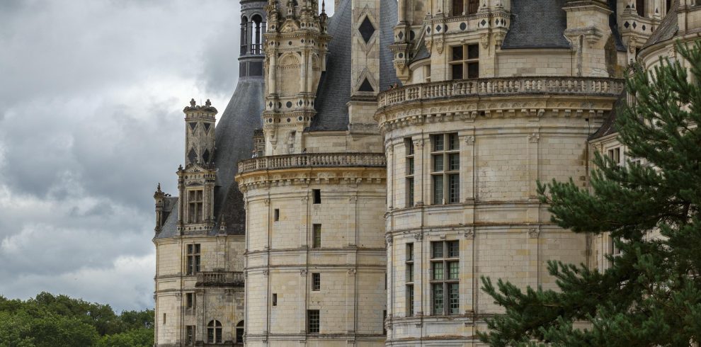 pexels sipalphotography 18058158 990x490